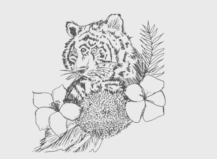 Silver Tiger Spa